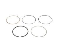 Goetze Kit fasce elastiche 08-436000-00 per Nissan X-TRAIL I/II e ROGUE 2.5 (2007-2015)