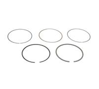 GOETZE ENGINE 08-445500-00 Kit fasce elastiche