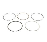 GOETZE ENGINE 08-445600-00 Kit fasce elastiche
