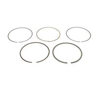 GOETZE ENGINE 08-446700-00 Kit fasce elastiche