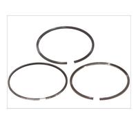 KOLBENSCHMIDT 800037410000 Kit fasce elastiche