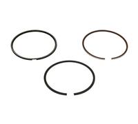 KOLBENSCHMIDT 800059410000 Kit fasce elastiche