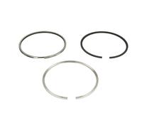 Anelli Pistone Kolbenschmidt Serie 800074010000 STD Motore