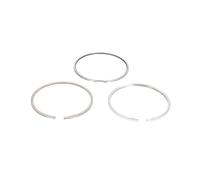 KOLBENSCHMIDT 800075510000 Kit fasce elastiche