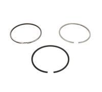 KOLBENSCHMIDT 800077610050 Kit fasce elastiche