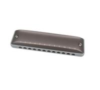 Set Di Armonica A 12 Fori Per Esercitarsi Nella Tonalità Di Re E Altre Note armonica Strumento Professionale(12 hole G set)