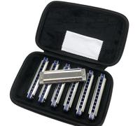 Set Di Armonica Diatonica 10 Fori Blues Harp Mouth Organ 7 Per Adulti Band Player
