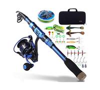 Set di attrezzi da pesca 1.8-3.0m Pesca telescopica Combo Portable Asta ultraleggero e 6.2: 1 Rapporto di ingranaggio Rapporto for la pesca Pesca Combo Canna da pesca (Size : 2.7M 3000Reel, Color :