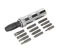 Set Di Avvitatori A Impatto Sealey 15 Pezzi S0844