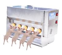 Set di biberon e mangiatoia per latte per suinetti e agnelli appena nati, design resistente in acciaio inossidabile, include più capezzoli