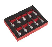 Set Di Bit A Incastro TRX-Star Sealey 10 Pezzi 3/8"Sq Drive AK6242