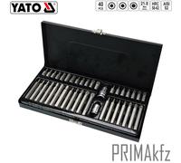 Set Di Bit Chiave A Bussola Torx Interno Multigonale RIBE HEX XZN Bit Cacciavite