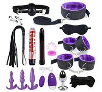 Set di bondage popolare da 16 pezzi per uomini e donne, cinghie di nylon in peluche BDSM e kit di plug anali per giochi di società per adulti -LC18ITW (Viola:Z)