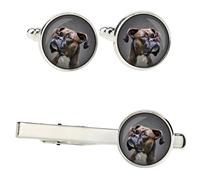 Set Di Boxer Con Fermagli In Una Scatola Con Immagine. Art-Dog