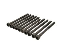 Ajusa Set bulloni testa cilindro 81043300 per Ssangyong Korando, Actyon I, Kyron