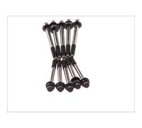 Elring Set bulloni per testa cilindro 004.260 Multidentata esterna per Proton Smart