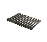 Set di bulloni per testa del cilindro ELRING 341.410