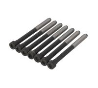 Set di bulloni per testa del cilindro ELRING 376.660