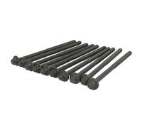 Set di bulloni per testa del cilindro ELRING 584.500