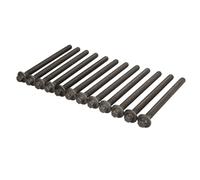Set di bulloni per testa del cilindro ELRING 751.970