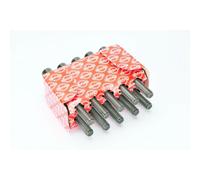 819824 Kit bulloni testata (MARCA-ERLING).