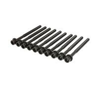 Victor Reinz Kit bulloni testata 14-12061-01 per Hyundai, Kia