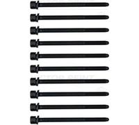 REINZ Set bulloni testata 14-32055-01 per Audi A6 C4 (4A2) 4.2 1994-1997