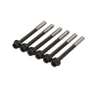 Set di bulloni per testa del cilindro REINZ 14-32376-01