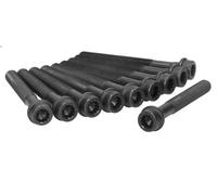 Set di bulloni per testata AJUSA 81010500 SSANGYONG KYRON 2.3 2010-2014