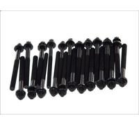Set di bulloni per testata AMC 25853 per CITROEN XM (Y4) 2.5 1994-2000