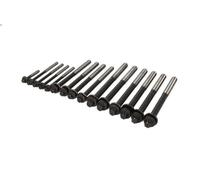 Set di bulloni per testa del cilindro AMC 258546