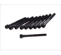 Set di bulloni per testata ELRING 022.670 per TOYOTA YARIS (_P1_) 1 2003-2005