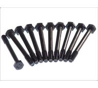 Set di bulloni per testata ELRING 111.630 per RENAULT 12 1.4 1983-1989