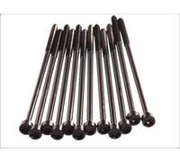 Set di bulloni per testata ELRING 152.090 per FIAT COUPE (175_) 2 1996-2000
