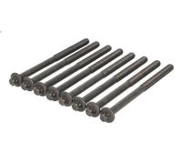 Set di bulloni per testa del cilindro ELRING 258.920