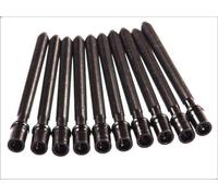 Set di bulloni per testata ELRING 305.430 AUDI A3 (8P1) 2 2003-2012