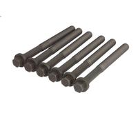 Set di bulloni per testata ELRING 308.560