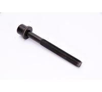 Set di bulloni per testata ELRING 331.520 per NISSAN PRIMERA (P12) 2.2 2003-2006