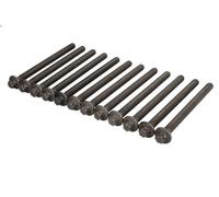 Set di bulloni per testata ELRING 751.970 per OPEL ADAM (M13) 1.2 2012-2019