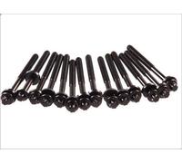 Kit Da Vite Culatta Elring BMW 3 E36 E46 5 E34 E39 E60 E61 7 E38 X3 E83 X5 E53