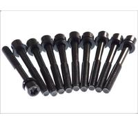 Set di bulloni per testata ELRING 803.010 per LADA 110 (2110) 2 1996-2000