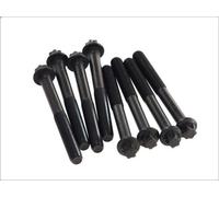 Set di bulloni per testata ELRING 820.245 per MAN NM 4.58 1992-1997