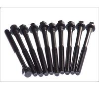 Set di bulloni per testata ELRING 820.490 per FORD ORION I (AFD) 1.3 1983-1986