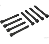 Set di bulloni per testata HERTH+BUSS JAKOPARTS J1285000 per XG (XG) 3 1998-