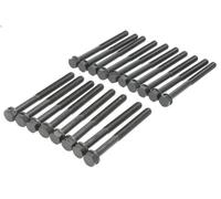 Set di bulloni per testata REINZ 14-10021-01 per IVECO EUROCARGO V 4.485 2015-