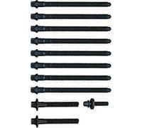 Set di bulloni per testata REINZ 14-10026-01 per DS DS 3 (SA_) 1.2 2015-2019
