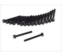 Set di bulloni per testata REINZ 14-32063-01 MERCEDES-BENZ LP 3.78 1963-1984