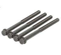Set di bulloni per testata REINZ 14-32069-01 per AXOR 11.967 2002-2004