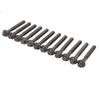 Set di bulloni per testata REINZ 14-32109-02 per CLK (C209) 2.7 2003-2005
