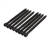 Set di bulloni per testata REINZ 14-32121-02